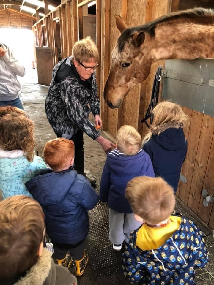 Children closely looking at a horse