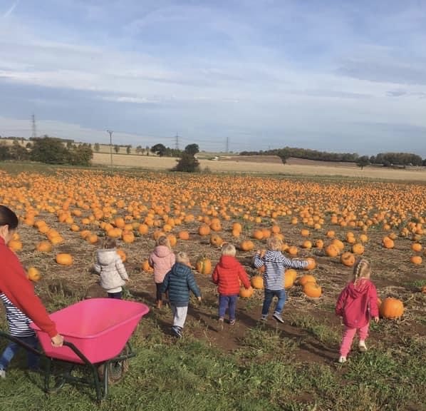 Children playing in a pumpkin field