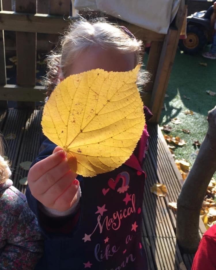 Child holding up a leaf