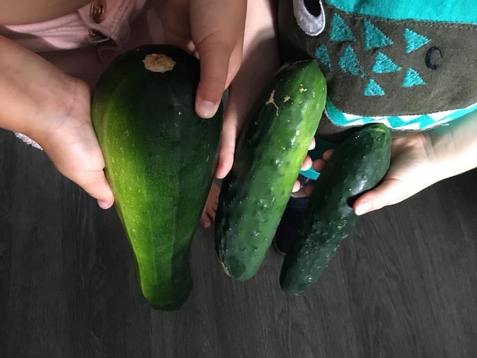Close-up of two sets of hands holding three cucumbers