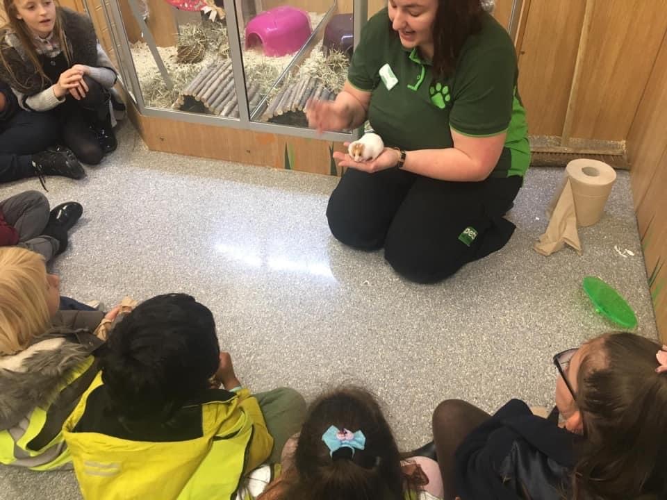 Woman showing children a hamster in her hand