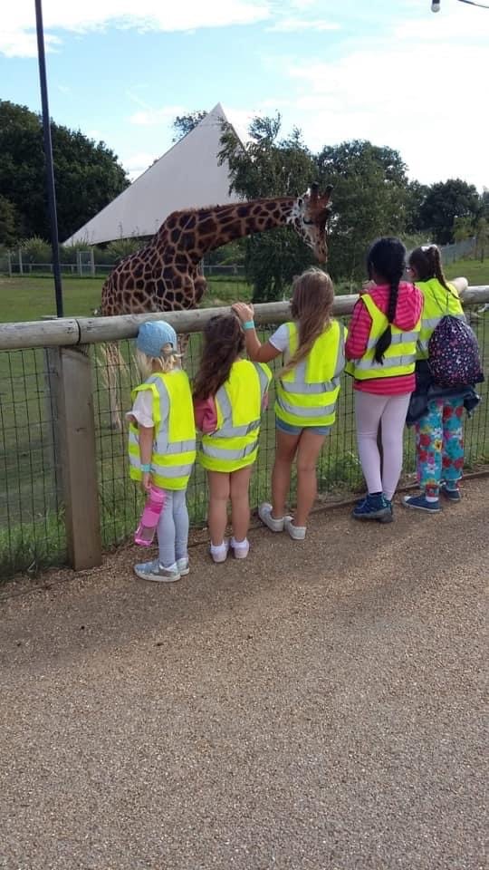 Children looking at a giraffe