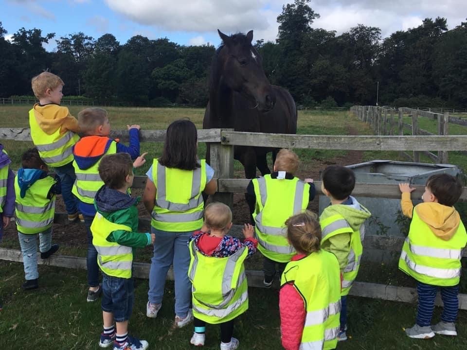 Children looking over a fence at a horse